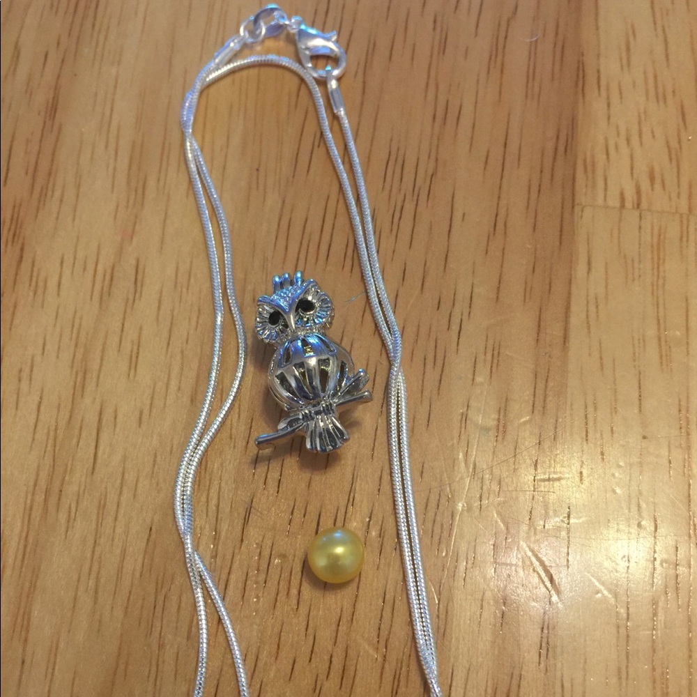 Chain and pendant
